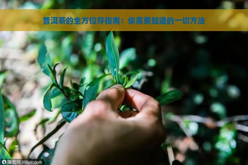 普洱茶的全方位存指南：你需要知道的一切方法