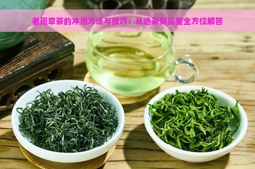 老班章茶的冲泡方法与技巧：从选茶到品鉴全方位解答