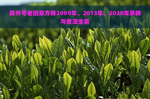 陈升号老班章方砖2009年、2013年、2020年茶砖与普洱生茶