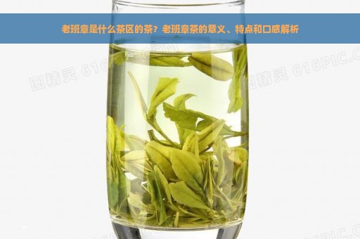 老班章是什么茶区的茶？老班章茶的意义、特点和口感解析