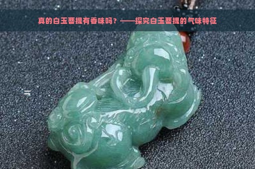 真的白玉菩提有香味吗？——探究白玉菩提的气味特征