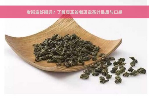 老班章好喝吗？了解真正的老班章茶叶品质与口感