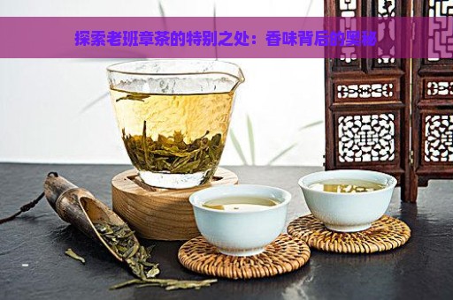 探索老班章茶的特别之处：香味背后的奥秘