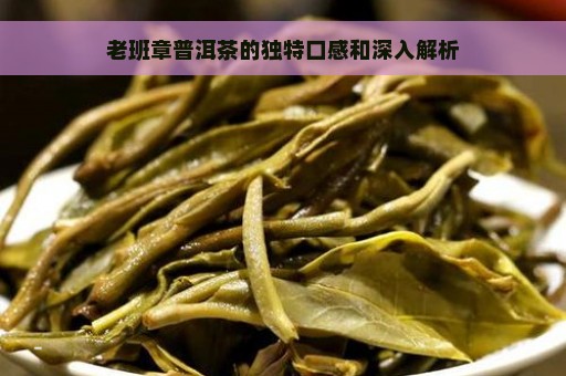 老班章普洱茶的独特口感和深入解析