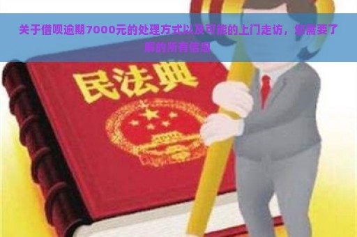 关于借呗逾期7000元的处理方式以及可能的上门走访，您需要了解的所有信息