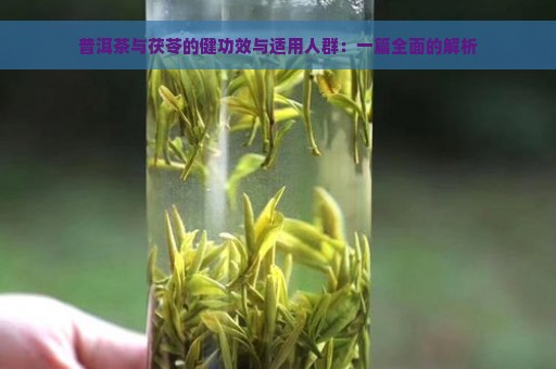 普洱茶与茯苓的健功效与适用人群：一篇全面的解析