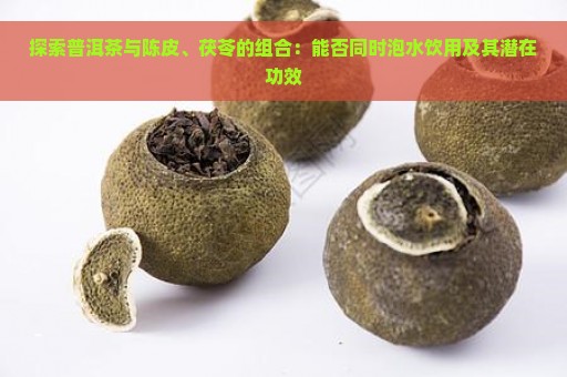 探索普洱茶与陈皮、茯苓的组合：能否同时泡水饮用及其潜在功效