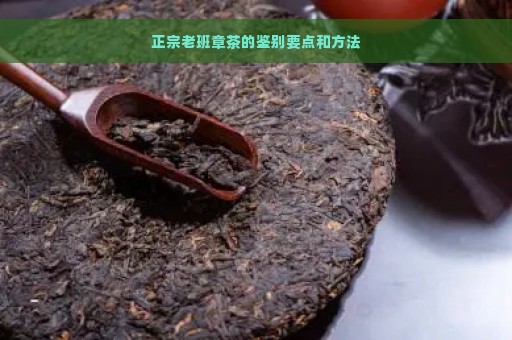 正宗老班章茶的鉴别要点和方法