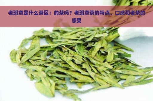 老班章是什么茶区：的茶吗？老班章茶的特点、口感和老茶的感受