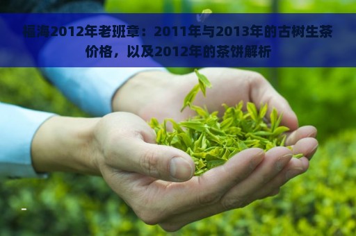 福海2012年老班章：2011年与2013年的古树生茶价格，以及2012年的茶饼解析