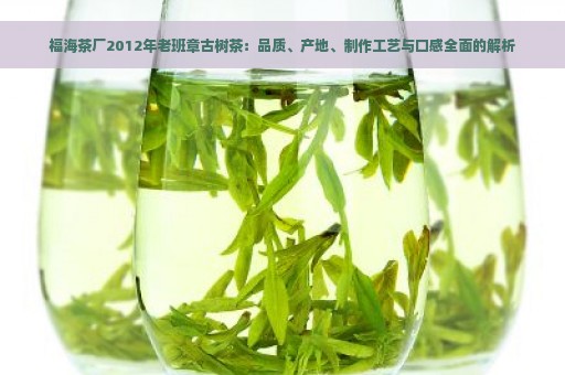 福海茶厂2012年老班章古树茶：品质、产地、制作工艺与口感全面的解析