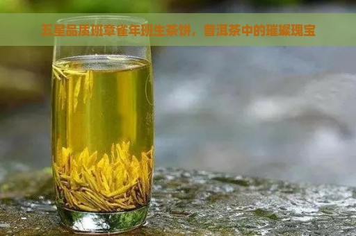 五星品质班章雀年班生茶饼，普洱茶中的璀璨瑰宝