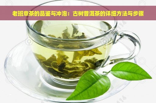 老班章茶的品鉴与冲泡：古树普洱茶的详细方法与步骤