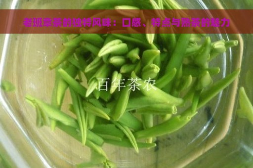 老班章茶的独特风味：口感、特点与熟茶的魅力