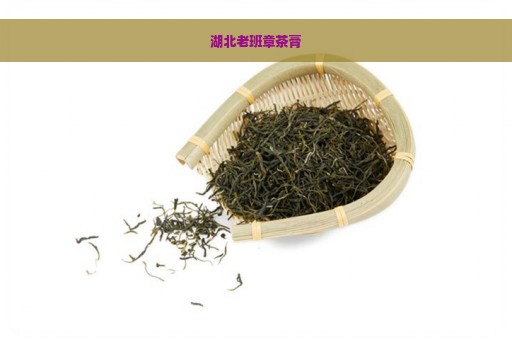 湖北老班章茶膏