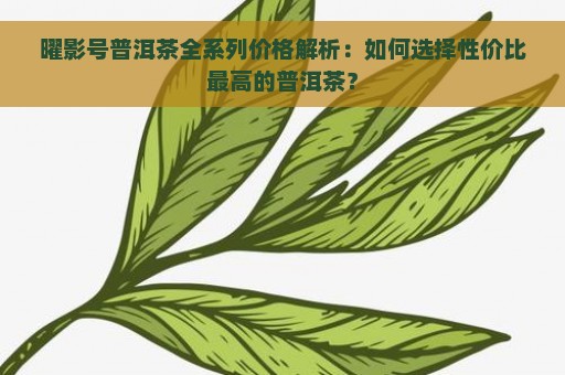 曜影号普洱茶全系列价格解析：如何选择性价比最高的普洱茶？