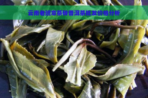 云南老班章茶砖普洱茶批发价格分析