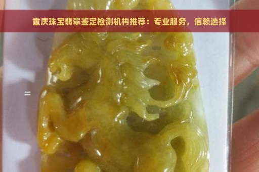 重庆珠宝翡翠鉴定检测机构推荐：专业服务，信赖选择