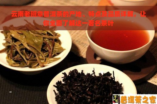 云南老班章普洱茶的产地、特点及品质详解，让你全面了解这一著名茶叶