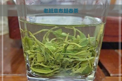 老班章布朗春茶