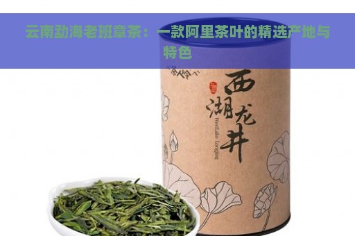 云南勐海老班章茶：一款阿里茶叶的精选产地与特色