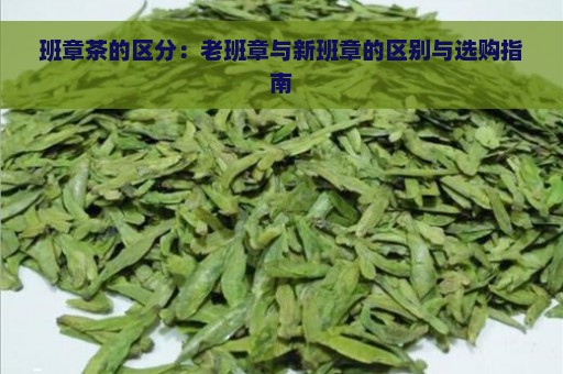 班章茶的区分：老班章与新班章的区别与选购指南