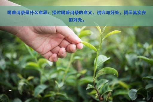 喝普洱茶是什么意思：探讨喝普洱茶的意义、讲究与好处，揭示其实在的好处。