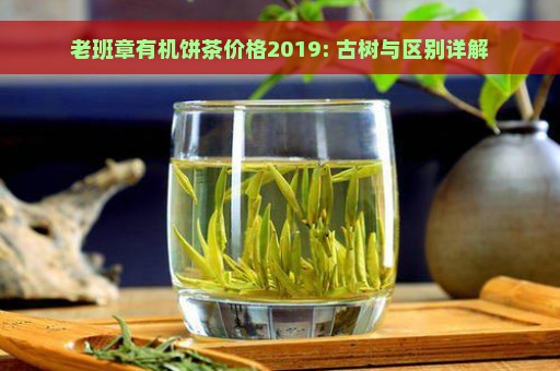 老班章有机饼茶价格2019: 古树与区别详解