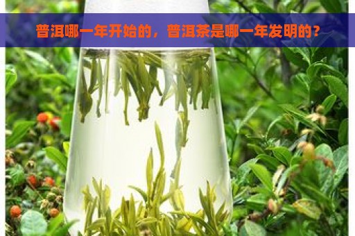 普洱哪一年开始的，普洱茶是哪一年发明的？