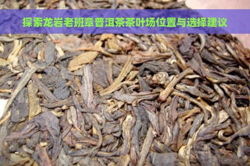 探索龙岩老班章普洱茶茶叶场位置与选择建议