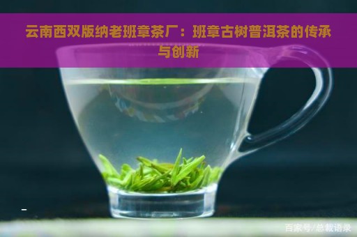 云南西双版纳老班章茶厂：班章古树普洱茶的传承与创新