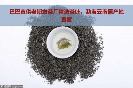 巴巴直供老班章茶厂精选茶叶，勐海云南原产地直营