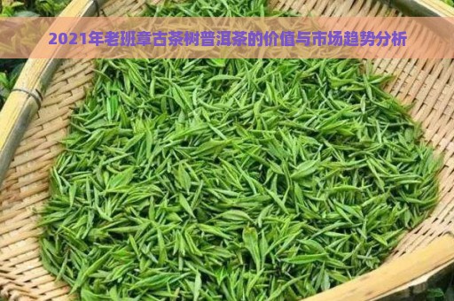 2021年老班章古茶树普洱茶的价值与市场趋势分析