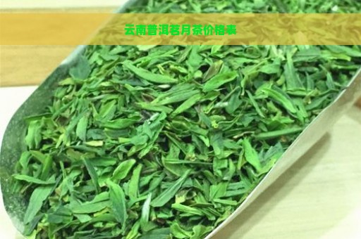 云南普洱茗月茶价格表