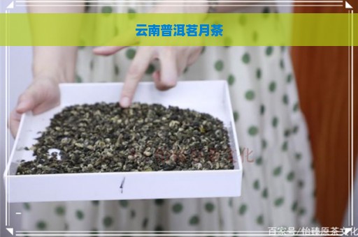 云南普洱茗月茶