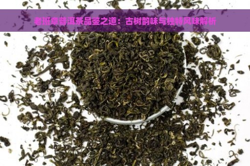 老班章普洱茶品鉴之道：古树韵味与独特风味解析