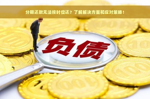 分期还款无法按时偿还？了解解决方案和应对策略！