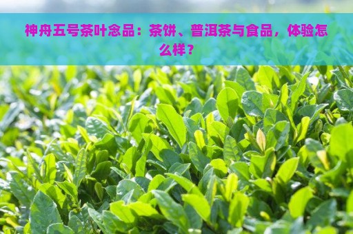 神舟五号茶叶念品：茶饼、普洱茶与食品，体验怎么样？