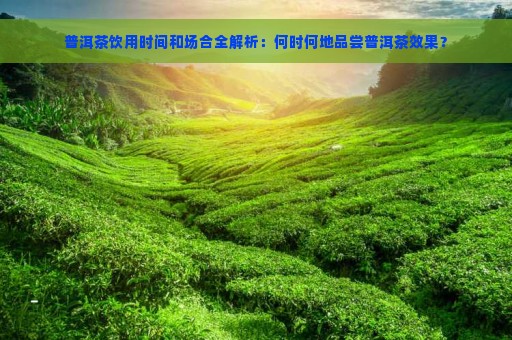 普洱茶饮用时间和场合全解析：何时何地品尝普洱茶效果？