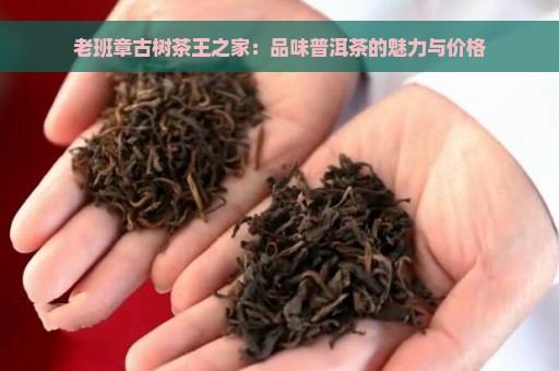 老班章古树茶王之家：品味普洱茶的魅力与价格