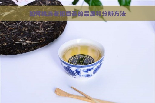 如何挑选老班章茶的品质和分辨方法