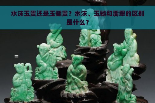 水沫玉贵还是玉髓贵？水沫、玉髓和翡翠的区别是什么？