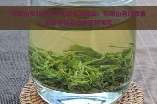 布朗山布朗族乡老班章茶农协会：布朗山老班章普洱茶古树茶价格及村信息