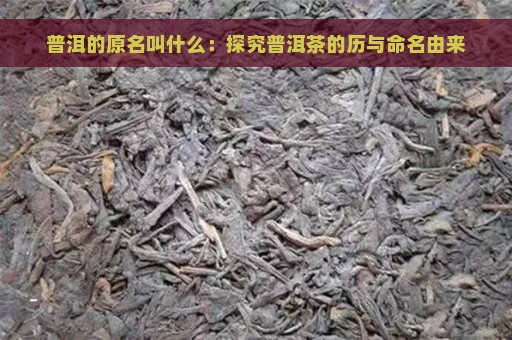 普洱的原名叫什么：探究普洱茶的历与命名由来