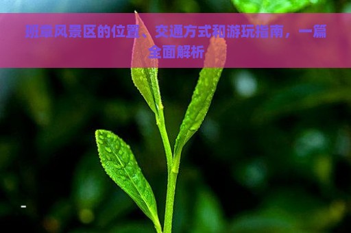 班章风景区的位置、交通方式和游玩指南，一篇全面解析