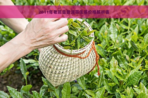 2011年老班章普洱茶生茶价格解析表