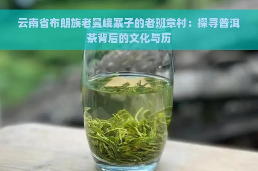 云南省布朗族老曼峨寨子的老班章村：探寻普洱茶背后的文化与历