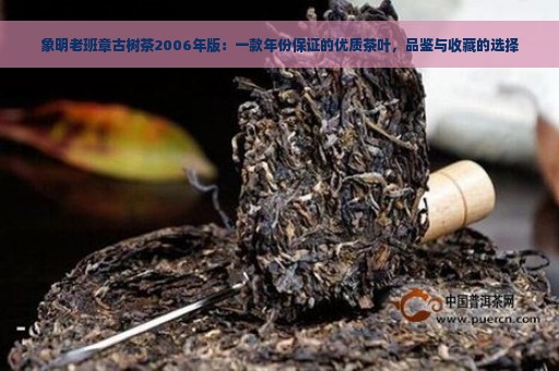 象明老班章古树茶2006年版：一款年份保证的优质茶叶，品鉴与收藏的选择