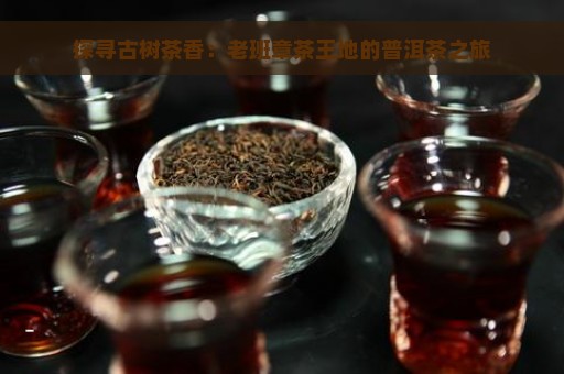 探寻古树茶香：老班章茶王地的普洱茶之旅