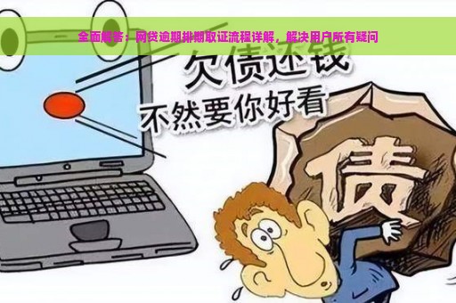 全面解答：网贷逾期排期取证流程详解，解决用户所有疑问